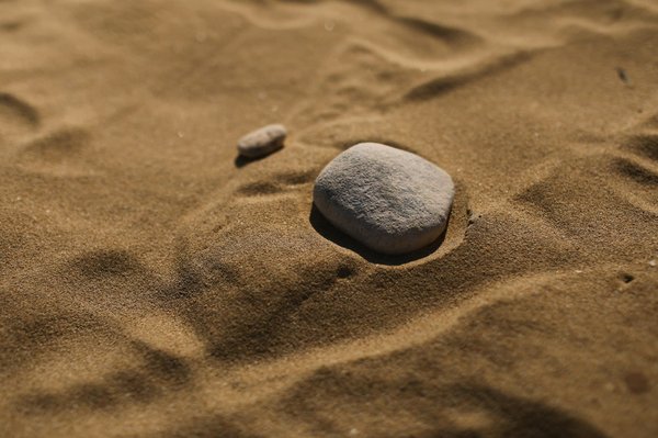 Quali specie di piante aromatiche sono più adatte alla coltivazione in appartamento con luce artificiale?